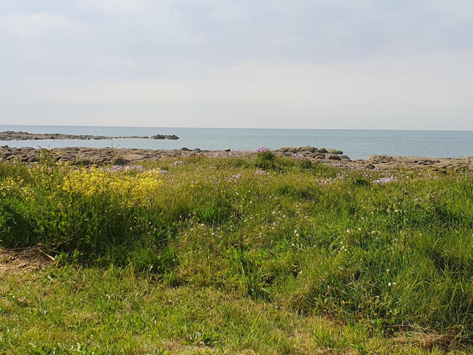 Chambre indépendante avec vue sur la mer Gatteville-le-Phare Exterior foto